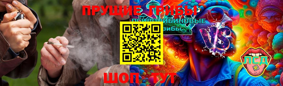 Галлюциногенные грибы Cubensis Каменка
