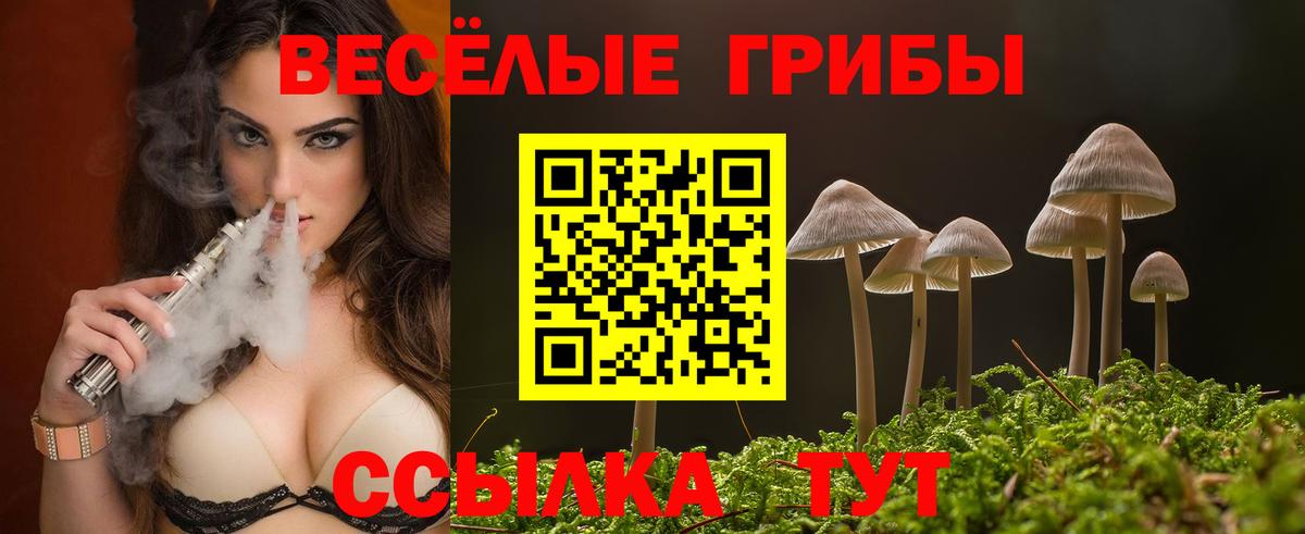 Каменка  Галлюциногенные грибы MAGIC MUSHROOMS  сколько стоит  Псилоцибиновые грибы GOLDEN TEACHER  Вход с VPN 